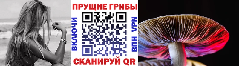 Галлюциногенные грибы MAGIC MUSHROOMS  Пущино 