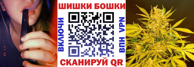 где найти   Пущино  Канабис индика 
